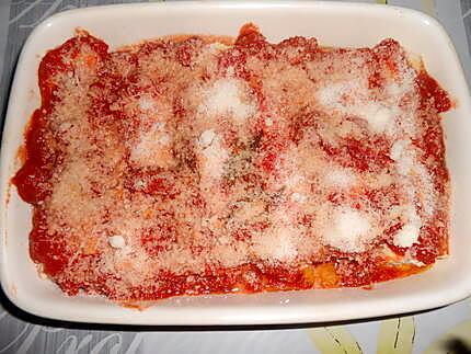 recette CANNELLONI  ALLA  SPAGNOLA