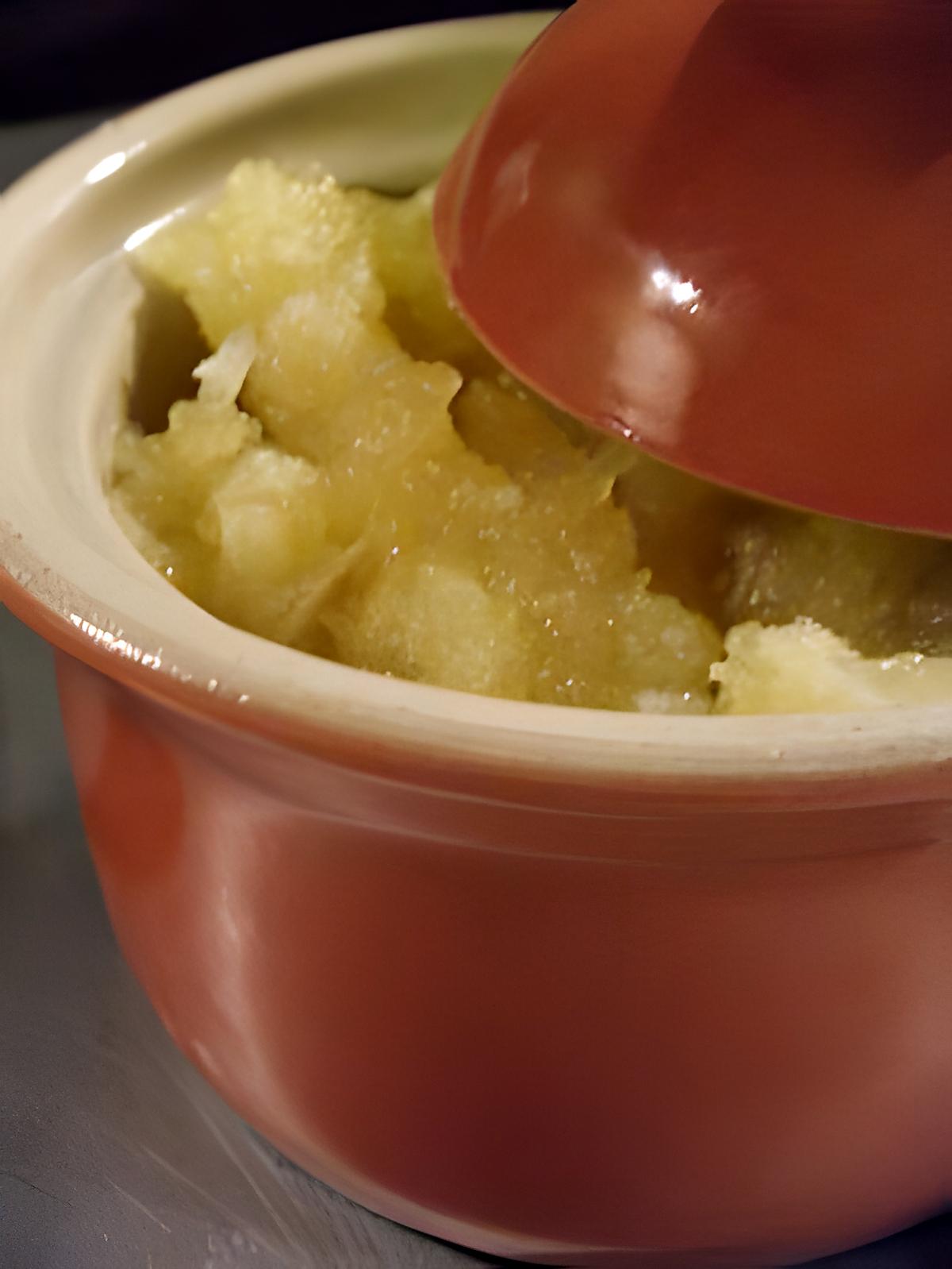recette Compote de pommes façon tropiques