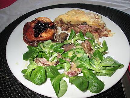 recette canard au cacao;  idée du blog  lili marti;;et gratin canard  pour utiliser des restes  de canard