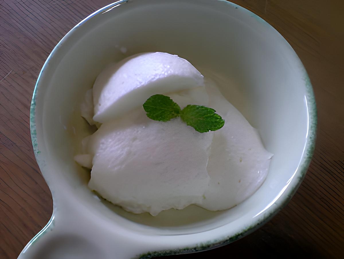 recette mousse de yaourt à la menthe