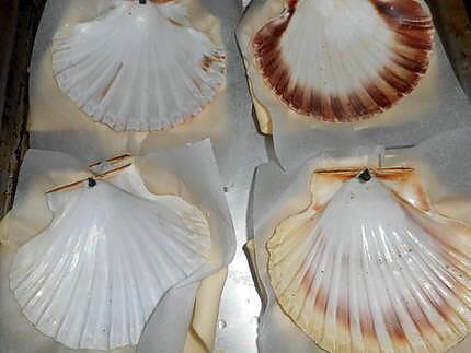 recette Saint jacques en coquille feuilletée