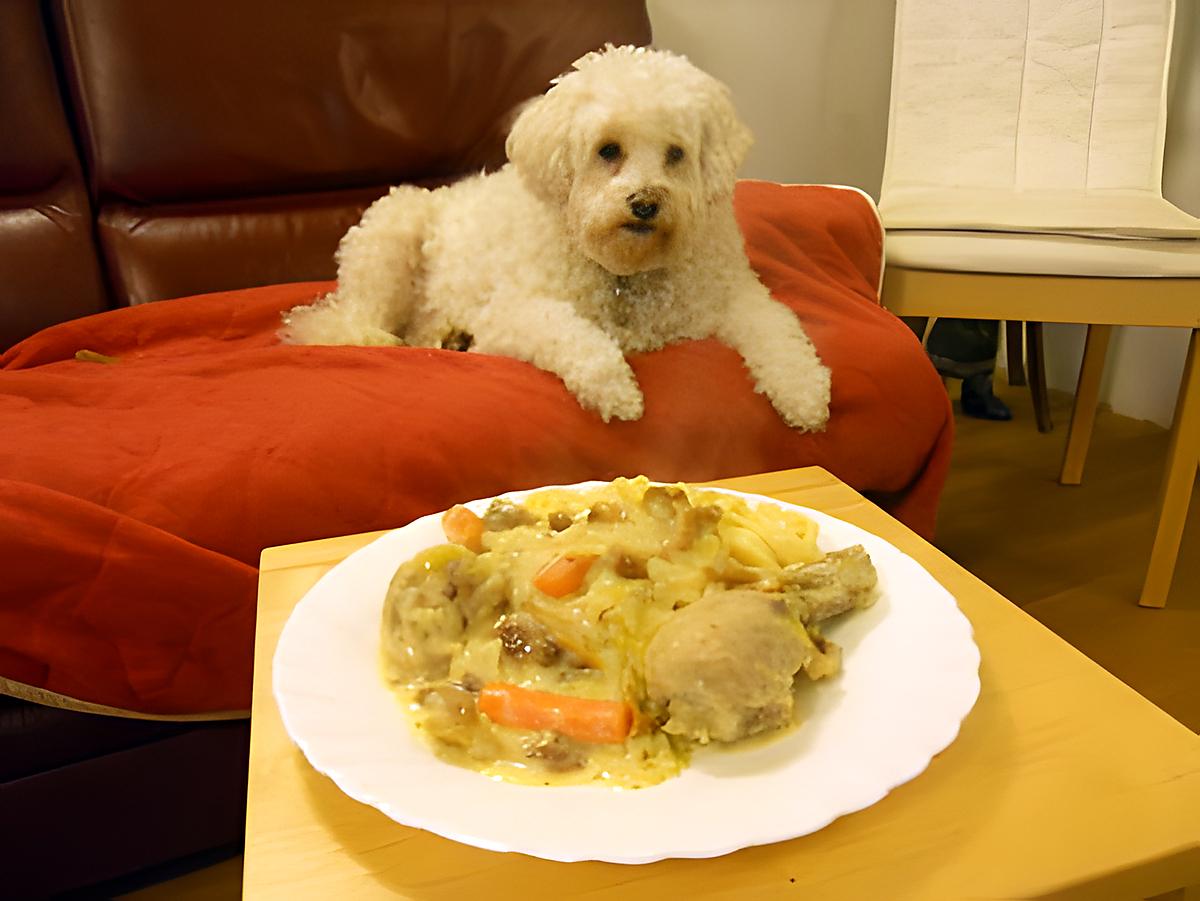 recette PILONS DE POULET EN BLANQUETTE