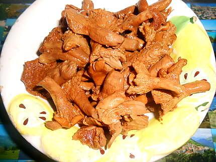 recette AVANT DE LAPIN CREME ET GIROLLES