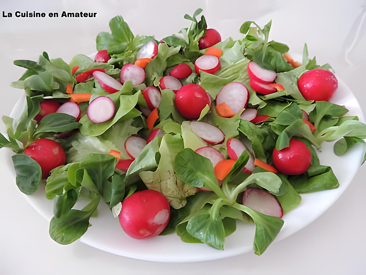 recette Salade de radis