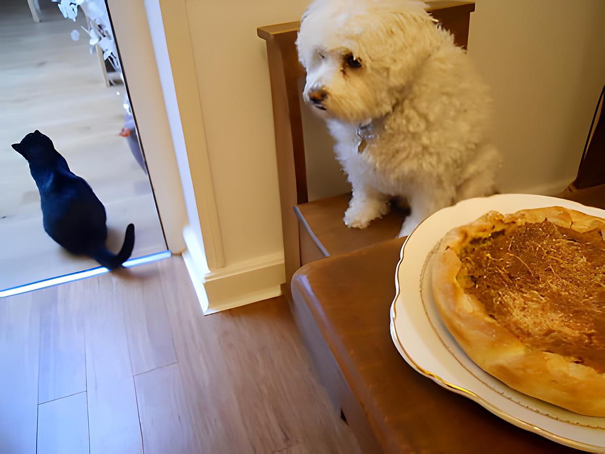 recette TARTE AU POISSON ET POMMES DE TERRE