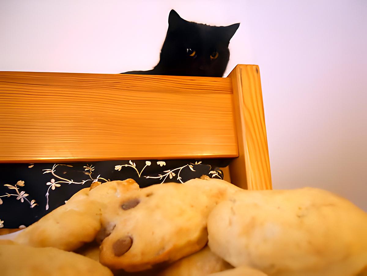 recette PETITS PAINS AUX RAISINS OU AU CHOCOLAT MINUTE