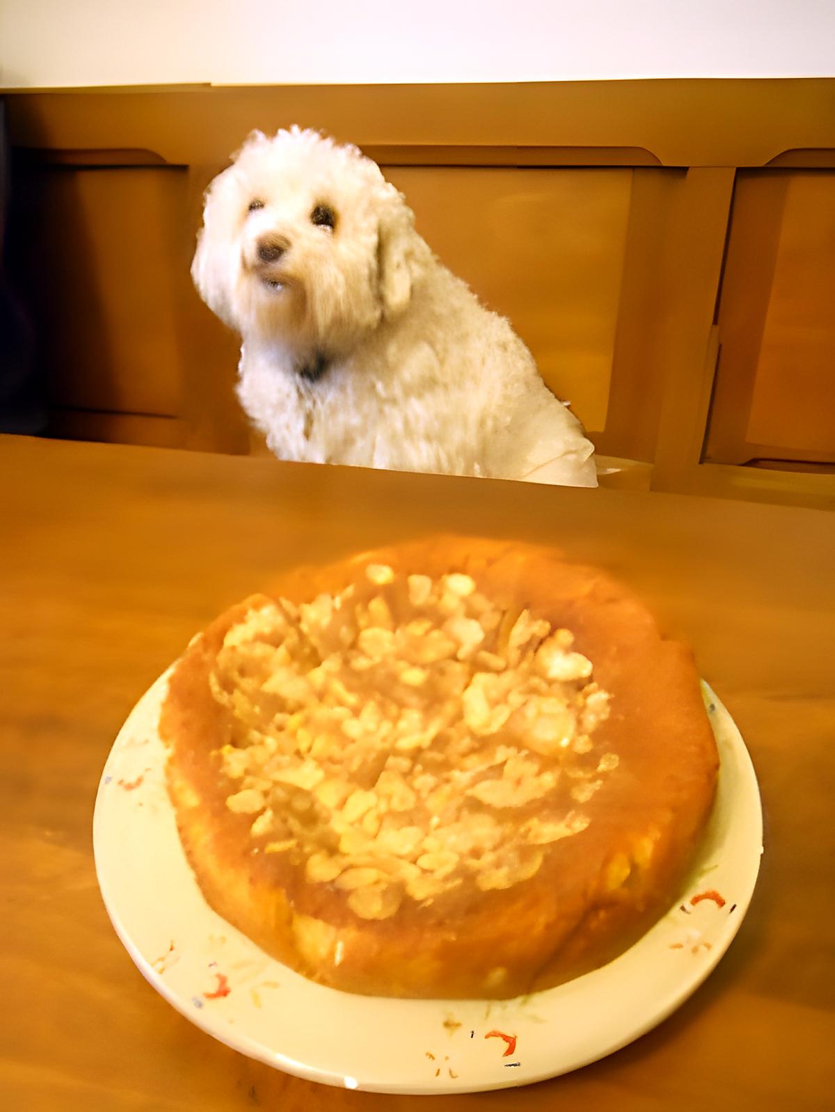 recette GÂTEAU AUX AMANDES