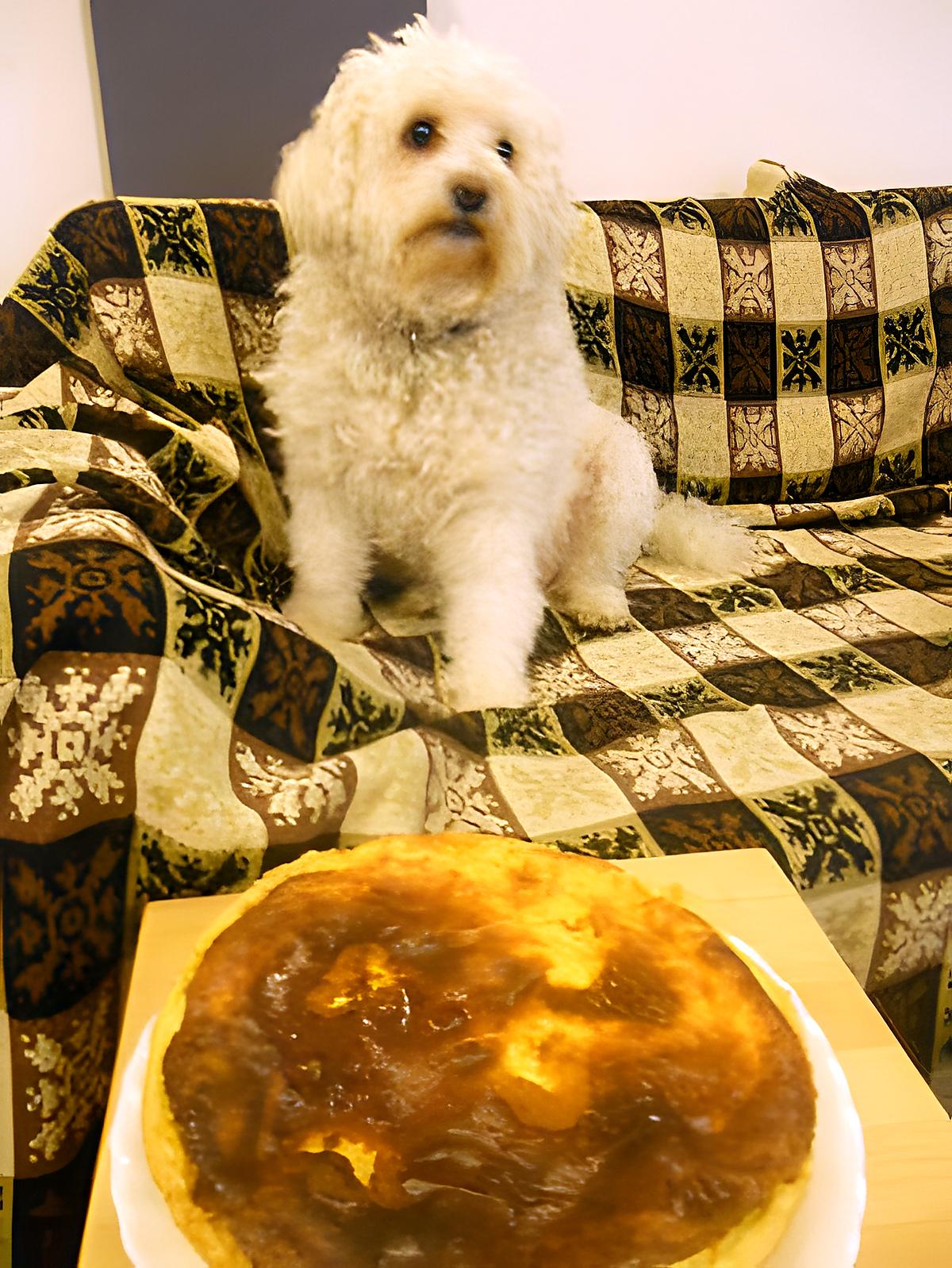 recette TARTE SALEE AU FROMAGE  BLANC