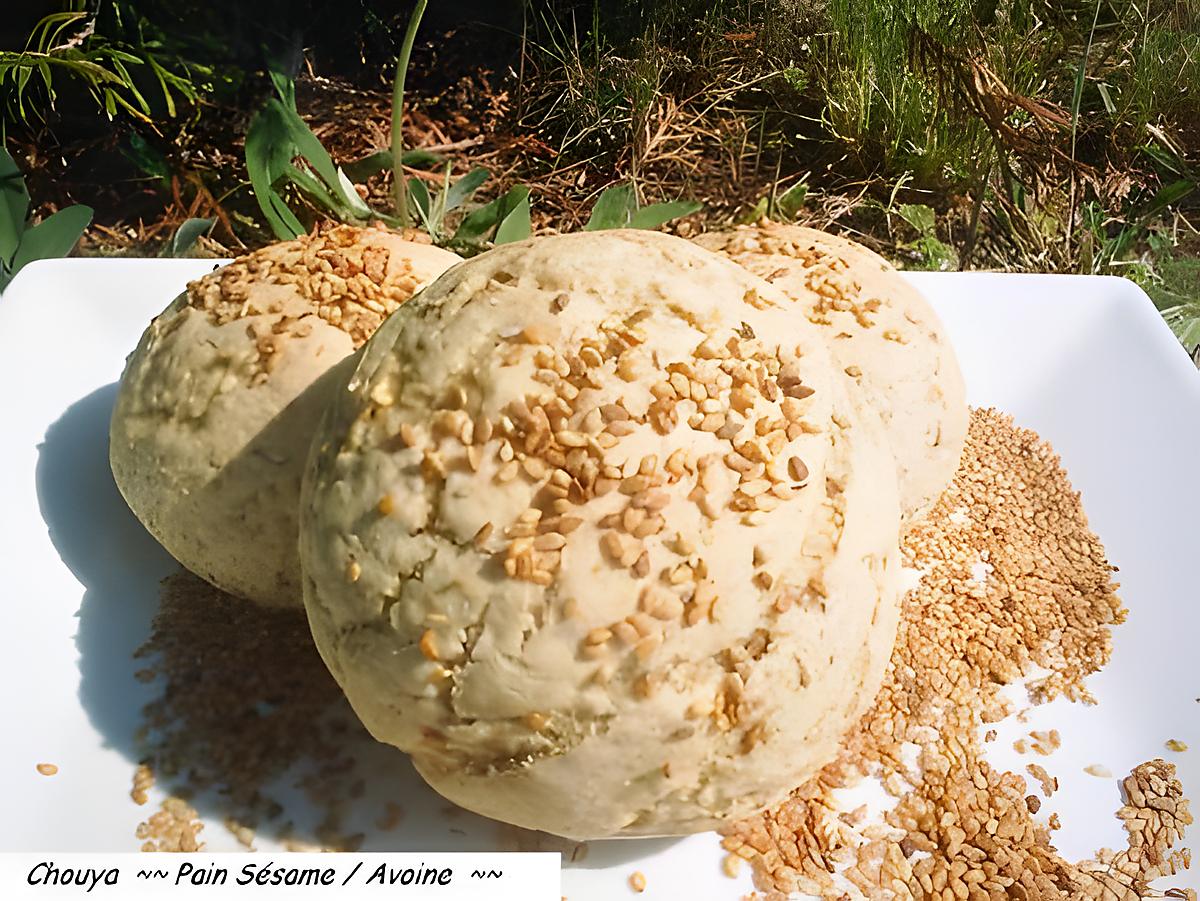 recette Ooo Petits pains Sésame / Avoine ooO