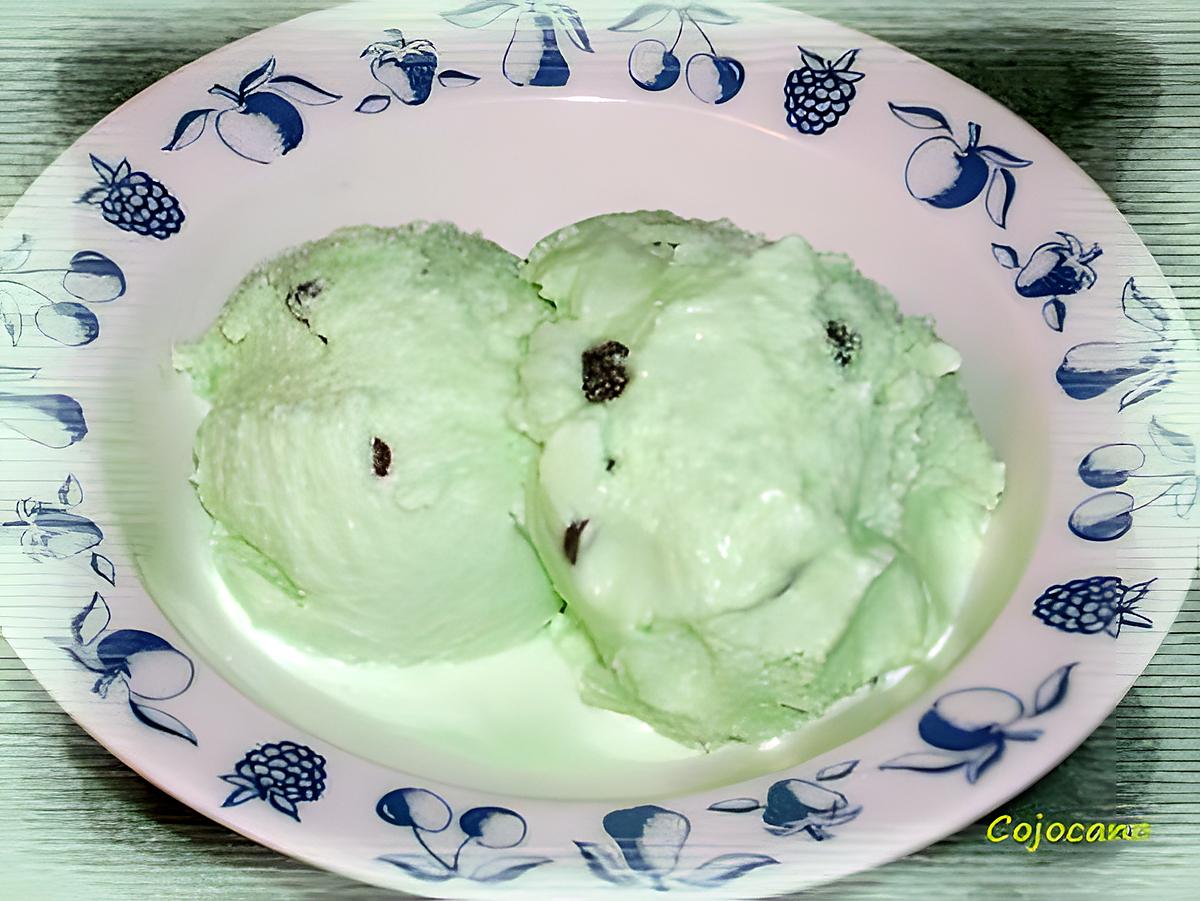 recette glace menthe pépites de chocolat (sans oeufs)