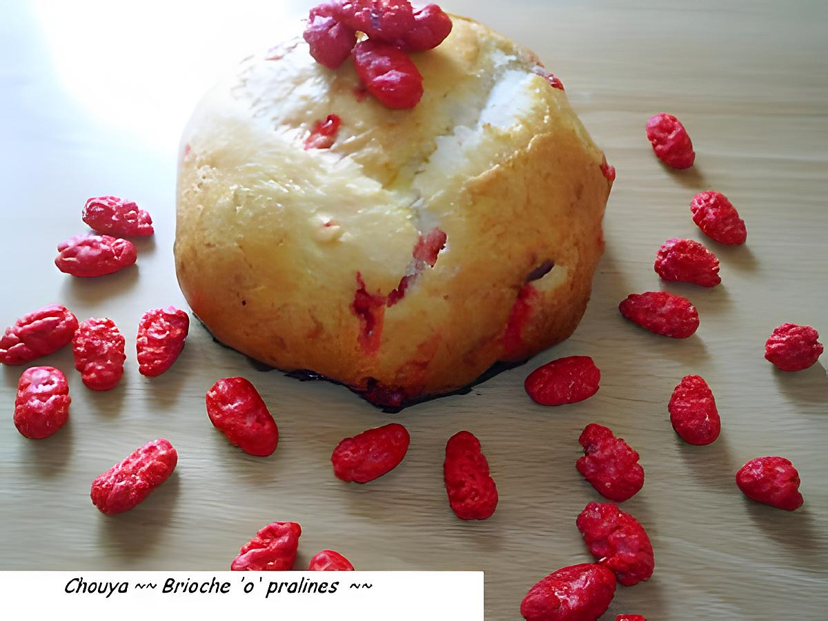 recette Ooo Brioche 'o' pralines ooO