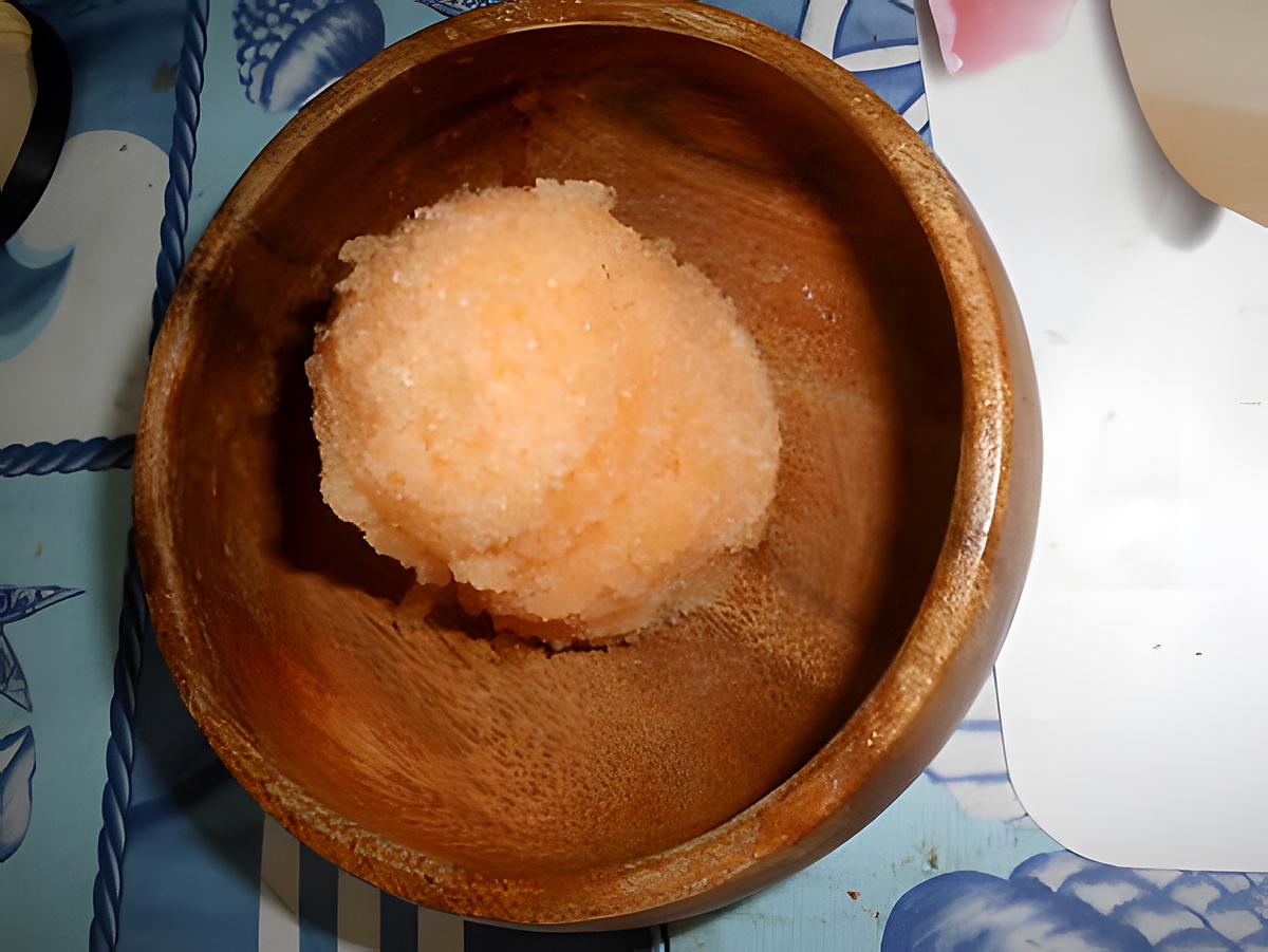 recette Sorbet au melon