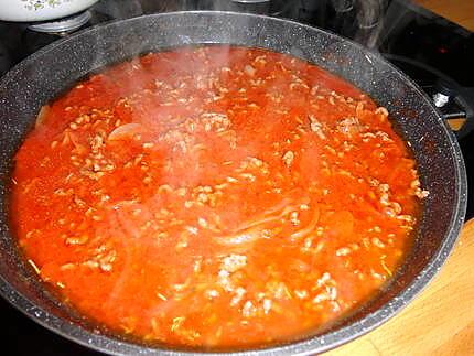 recette Lasagnes à la bolognaise sauce soja a l italienne