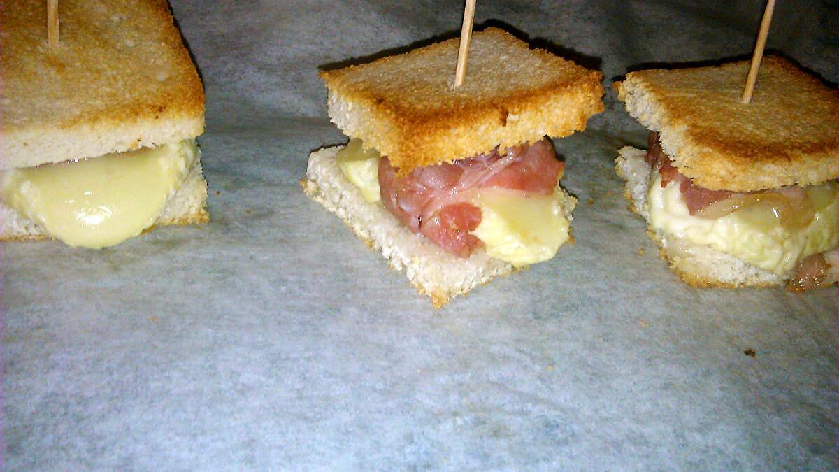 recette Salade et ses toast de crotin de chevre enlardé et chips de lard