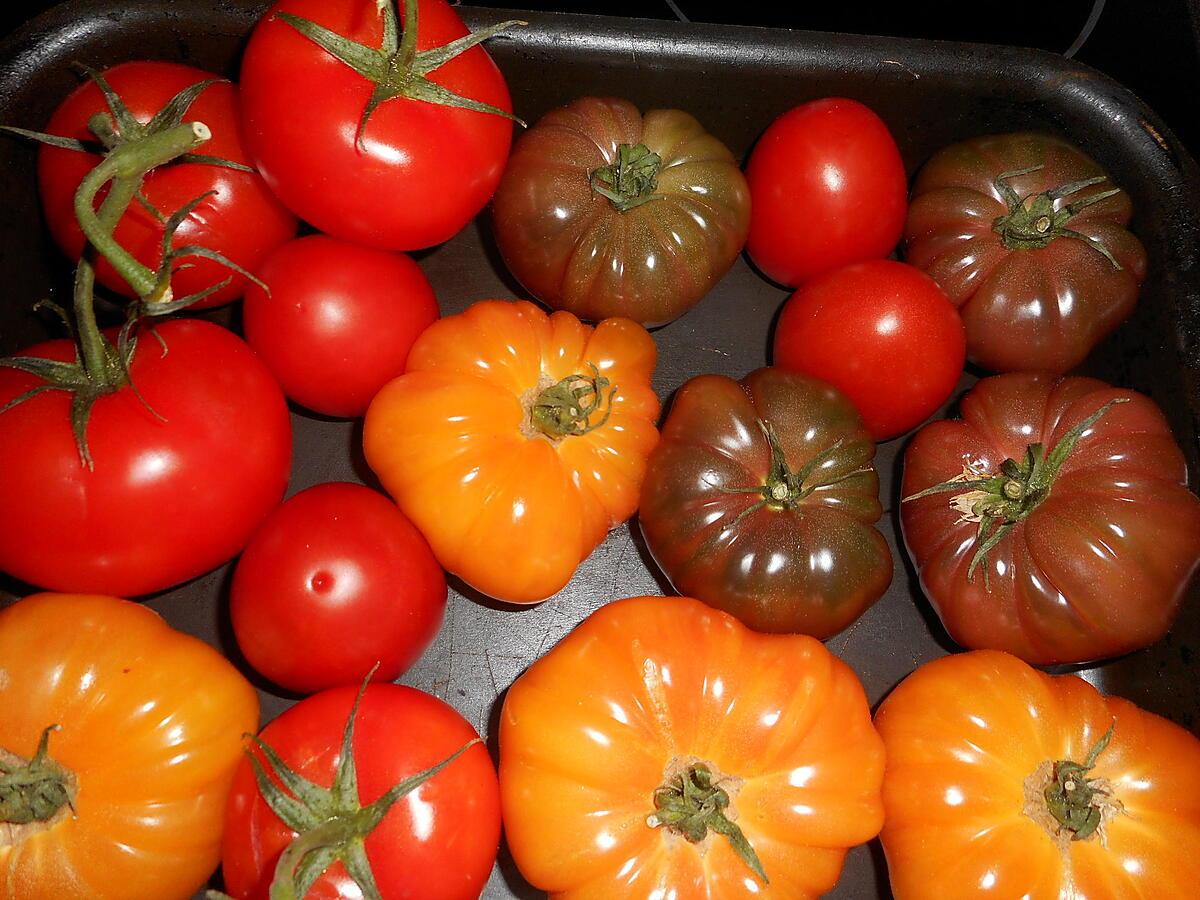 recette Tomates de toutes variétés farcies