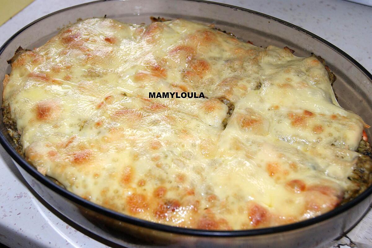 recette Gratin de saumon aux brocolis