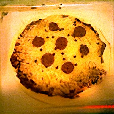recette pizza jambon champignon