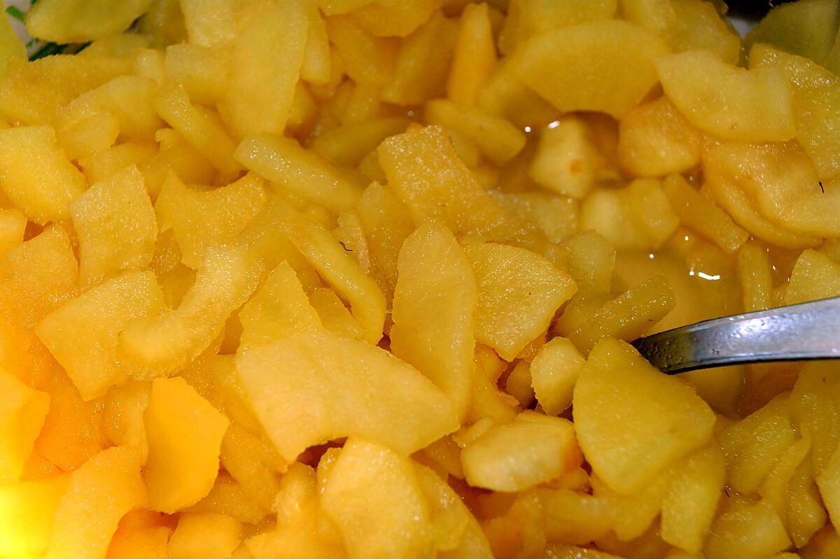 recette Tarte aux pommes au caramel beurre salé