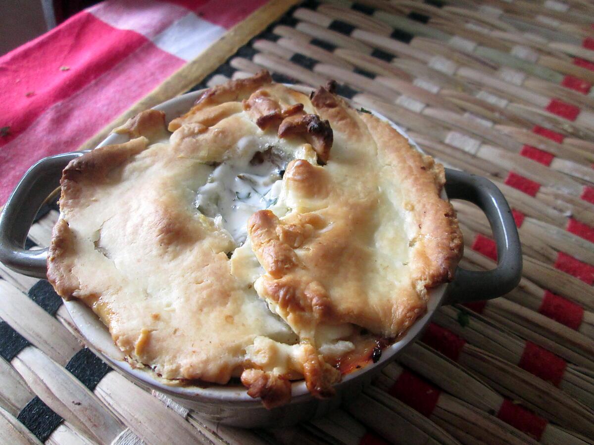 recette fenouil gratiné   trouvé   dans  les  recettes   de pentrez  et cassolette  escalope  de poulet