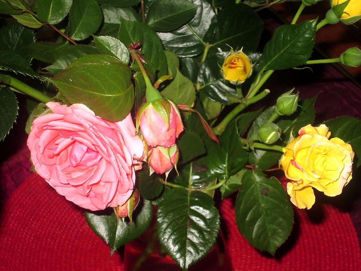 recette les roses de monsieur charpentier  de la serviette sur  la table de signé déco