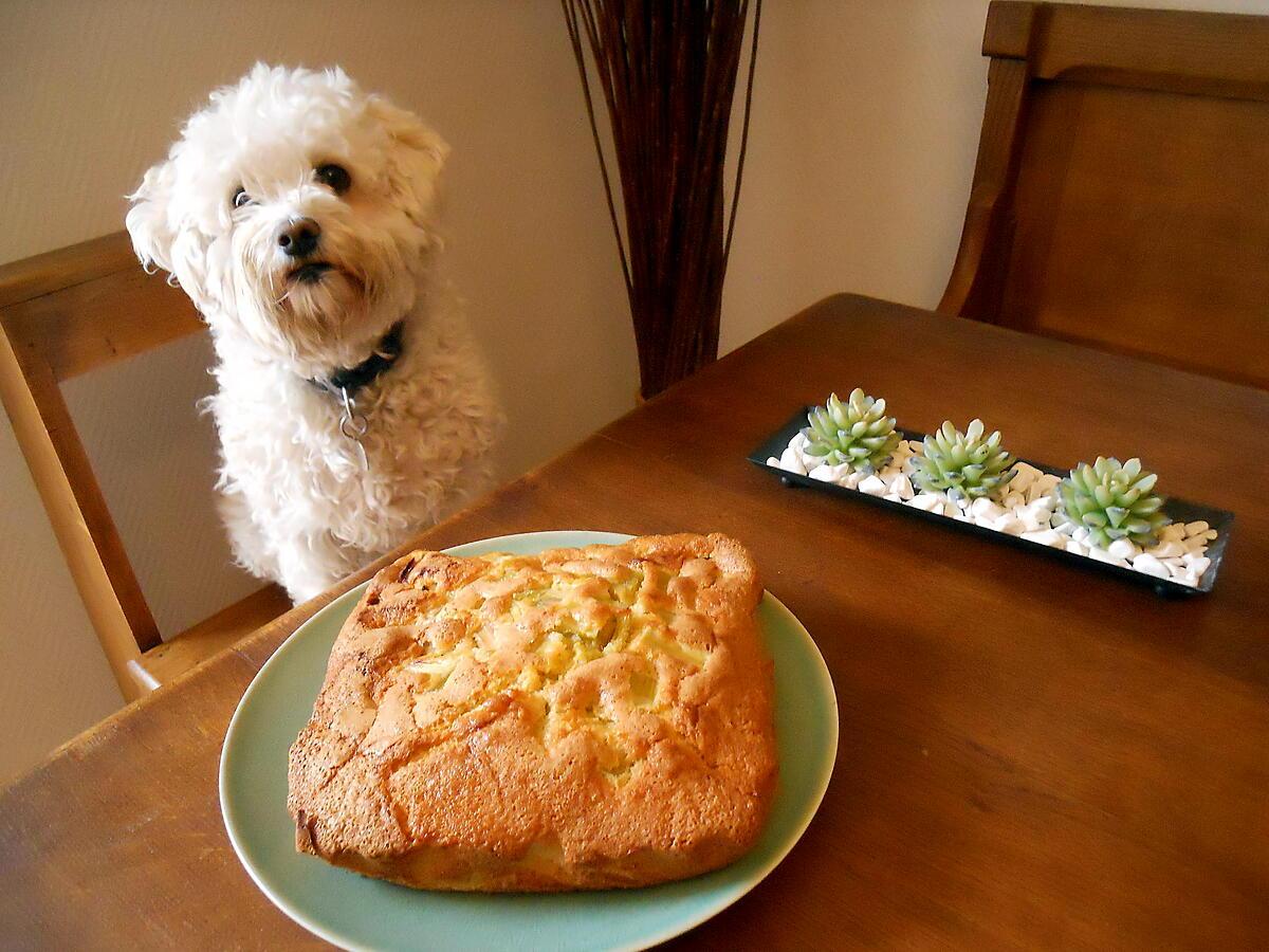 recette GÂTEAU A LA RHUBARBE