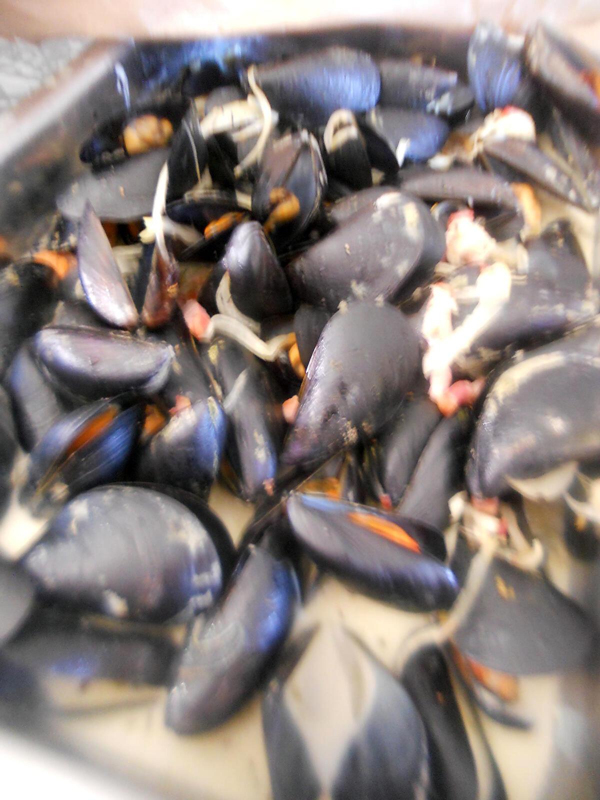 recette Moules a la crème