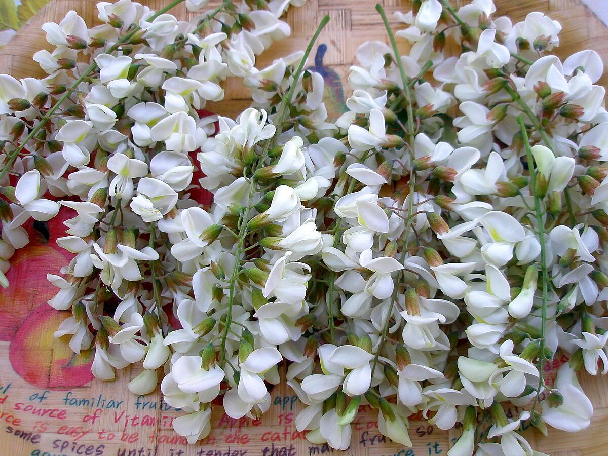 recette Beignets de fleurs d'acacia