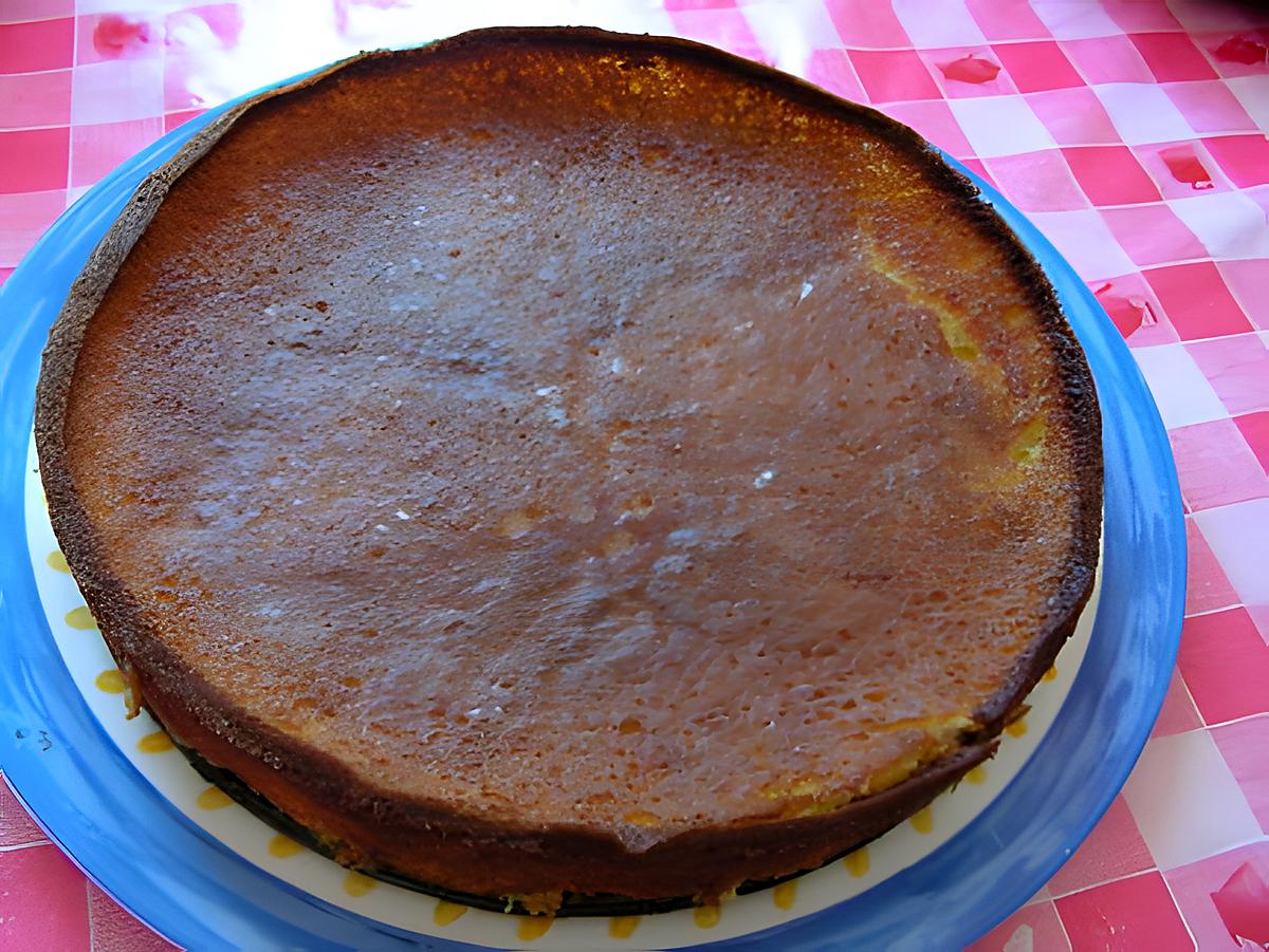 recette Gâteau au fromage blanc et aux prunes