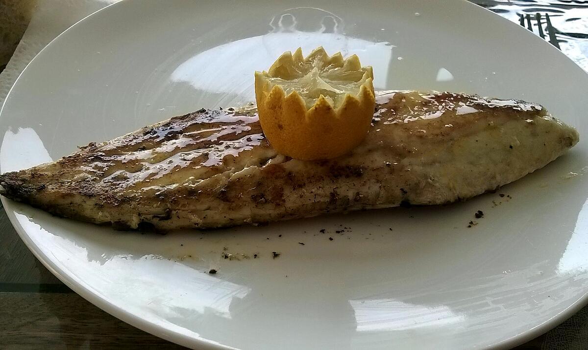 recette filet de maigre à la plancha