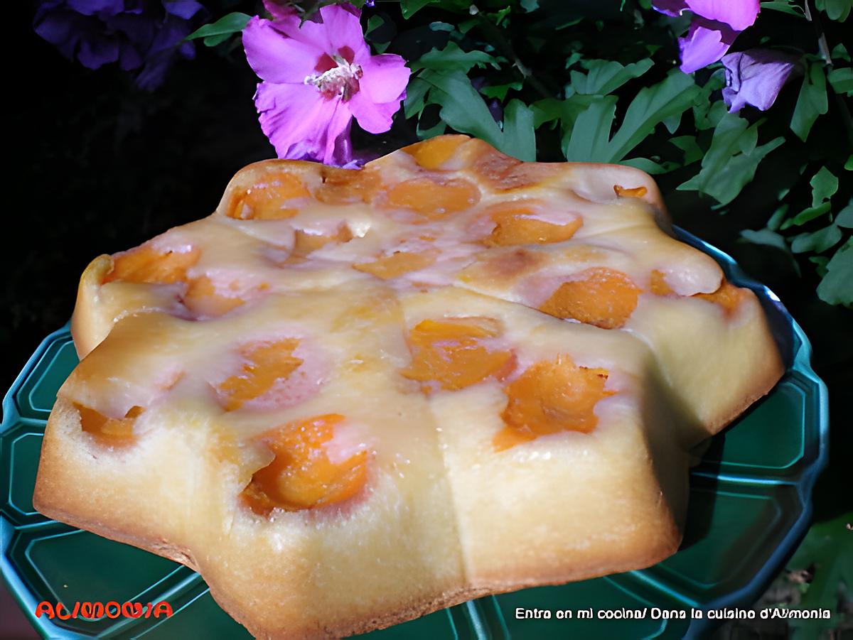 recette GATEAU ABRICOTS-AMANDES