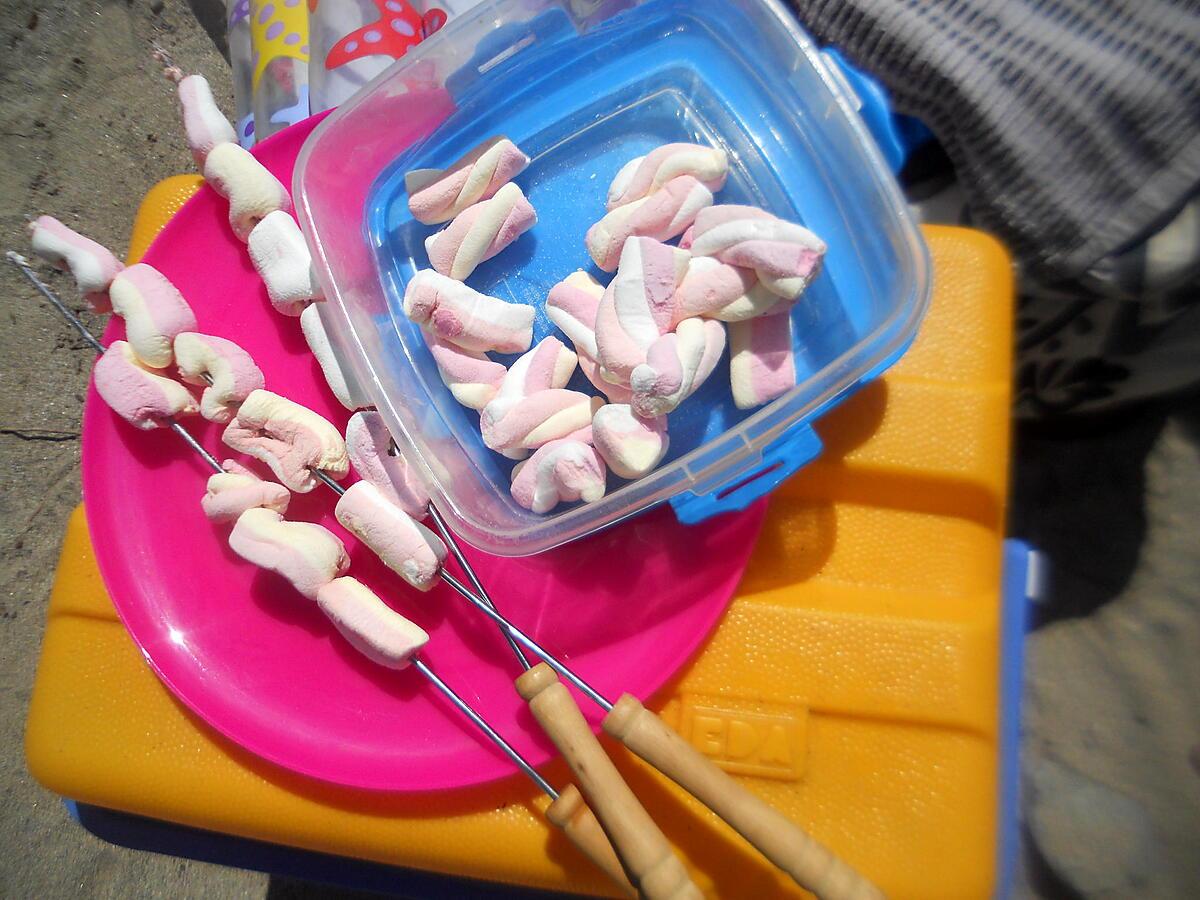 recette Marshmallows grillés au feux de bois