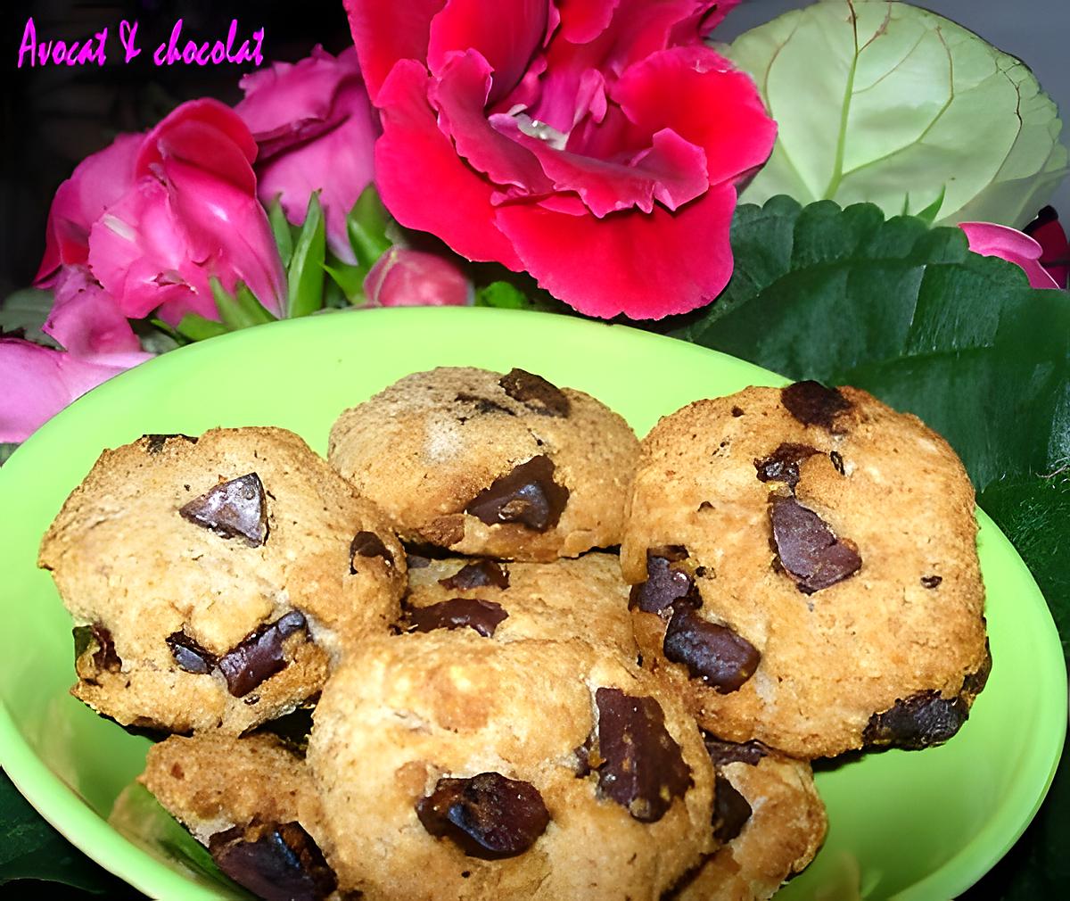 recette *Biscuits croquants légers flocons d'avoine, Amande & Noix de Coco façon Cookies*