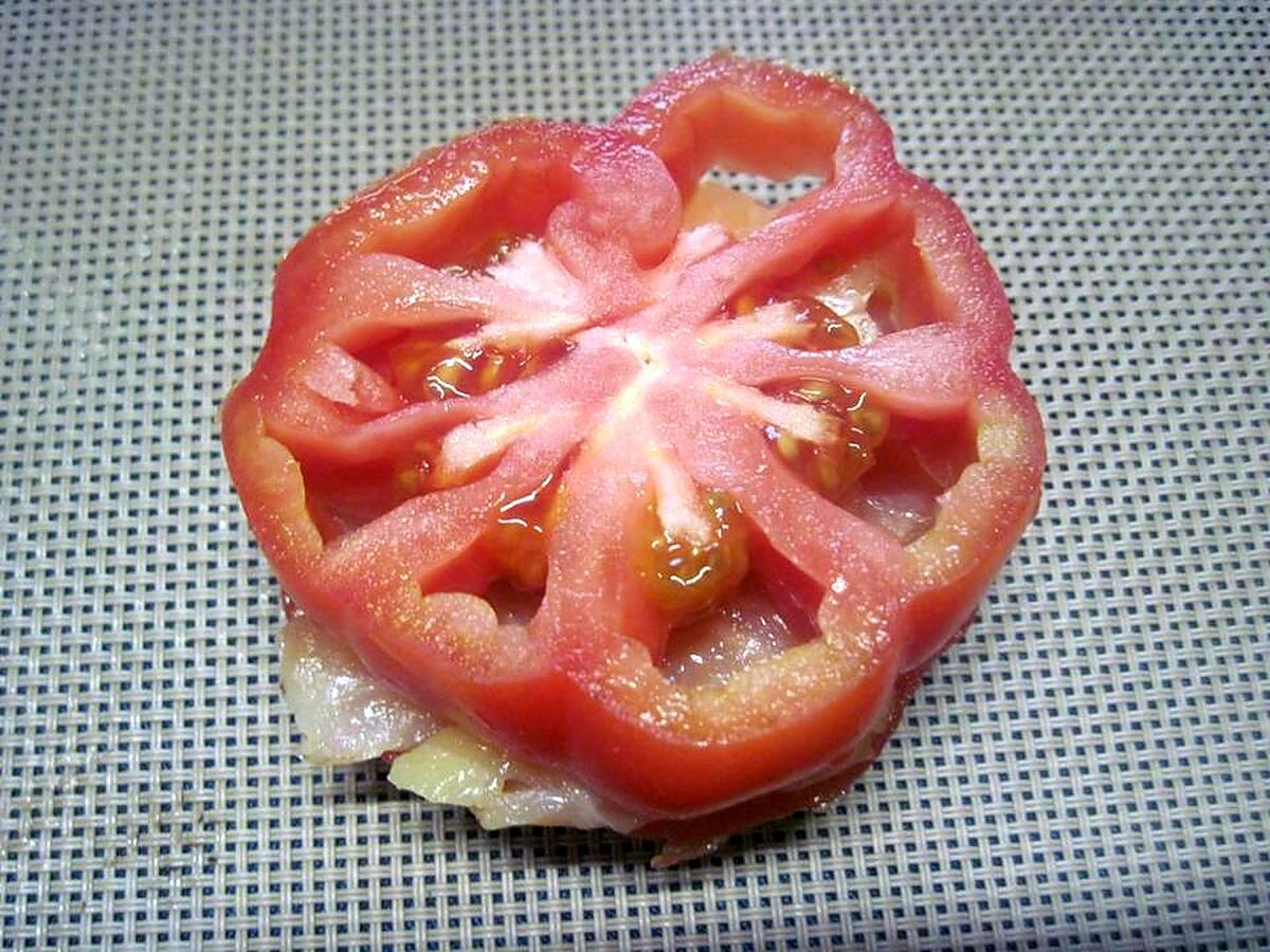 recette Recette de Hamburger de tomate au saumon et mozzarella.