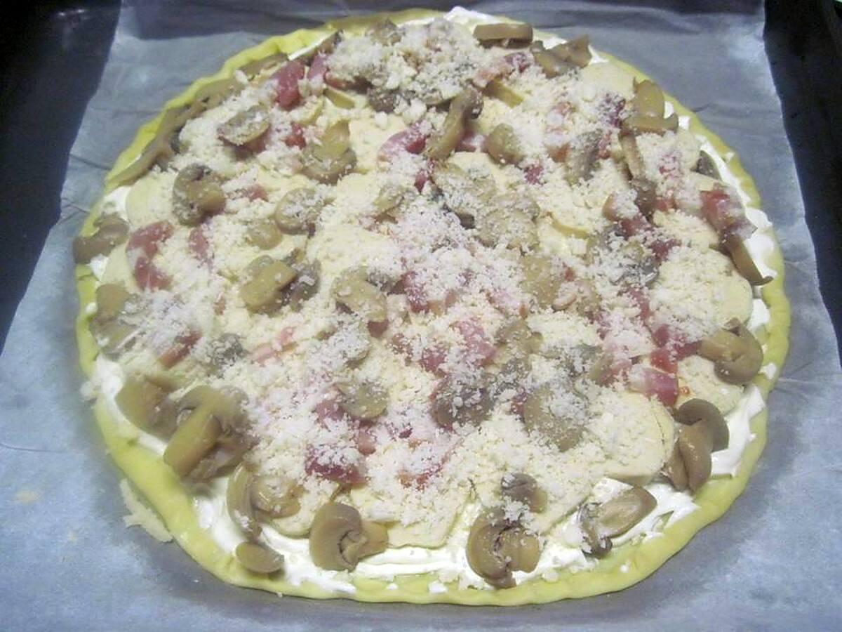 recette tarte aux quenelles de brochet et parmesan.