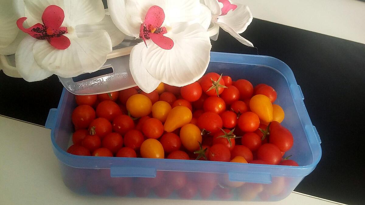 recette Salade de tomate bicolore du Jardin