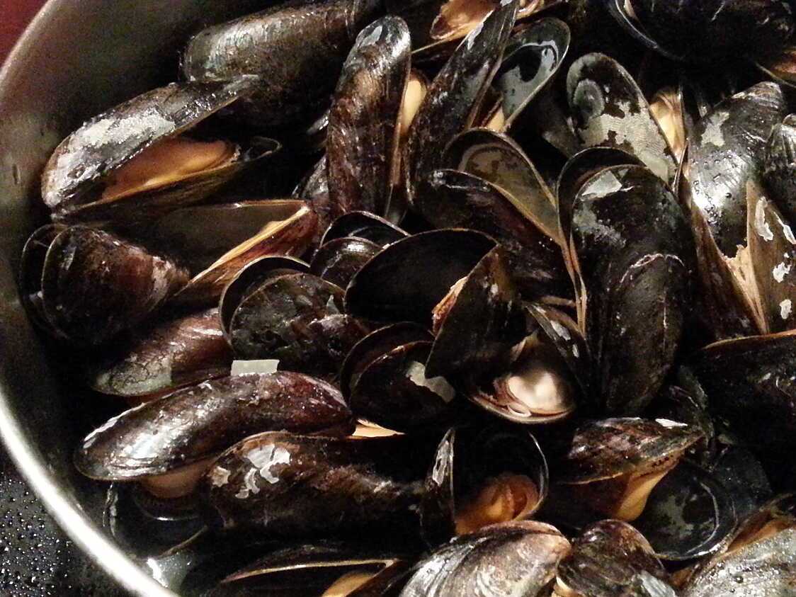 Recette de Moules à la crème d'ail