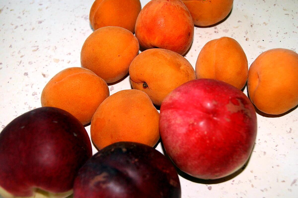 recette Compotée abricots et nectarines au Caramel et Romarin