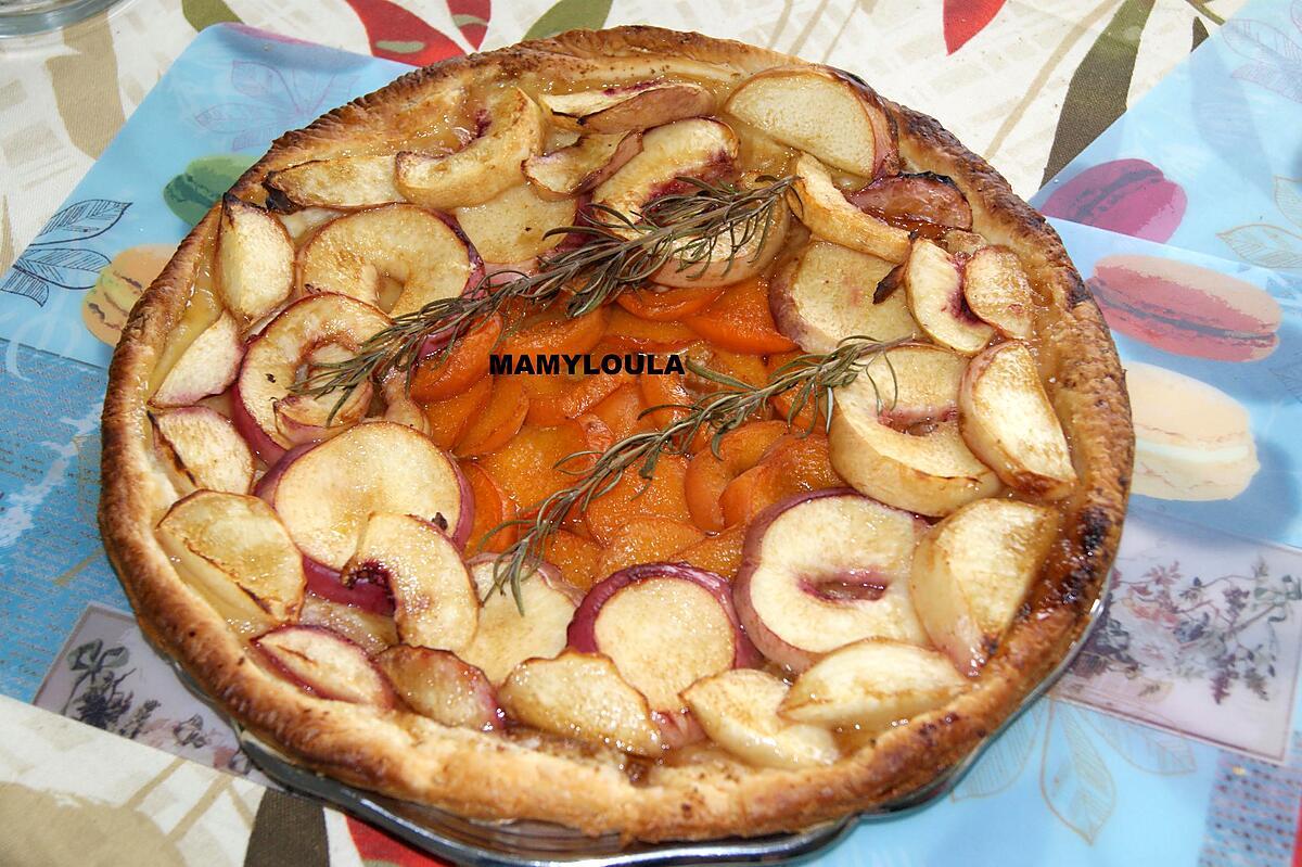 recette Tarte fine aux nectarines et aux abricots façon ch'ti