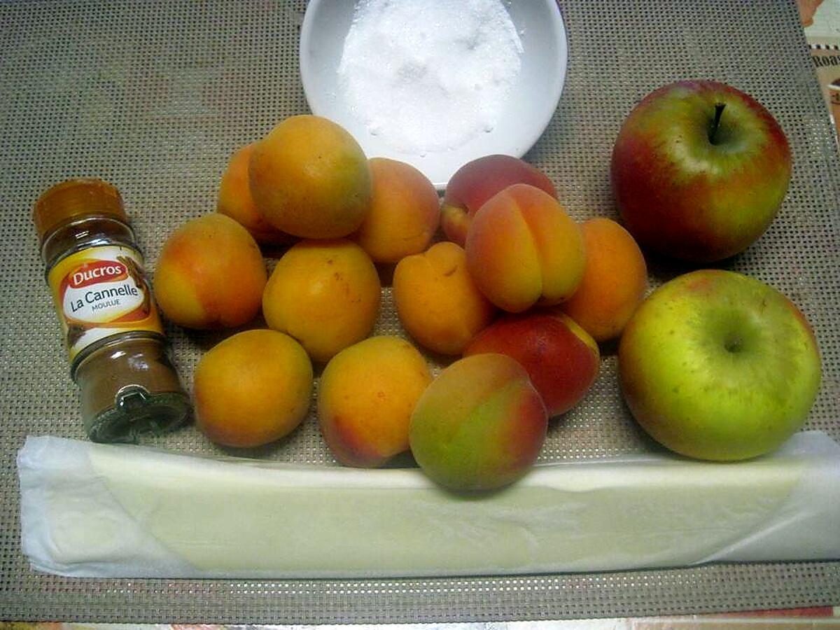 recette Tatin aux abricots et pommes cannelle.
