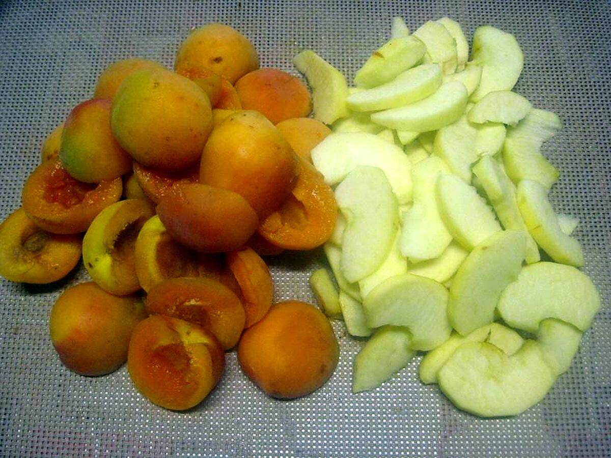 recette Tatin aux abricots et pommes cannelle.