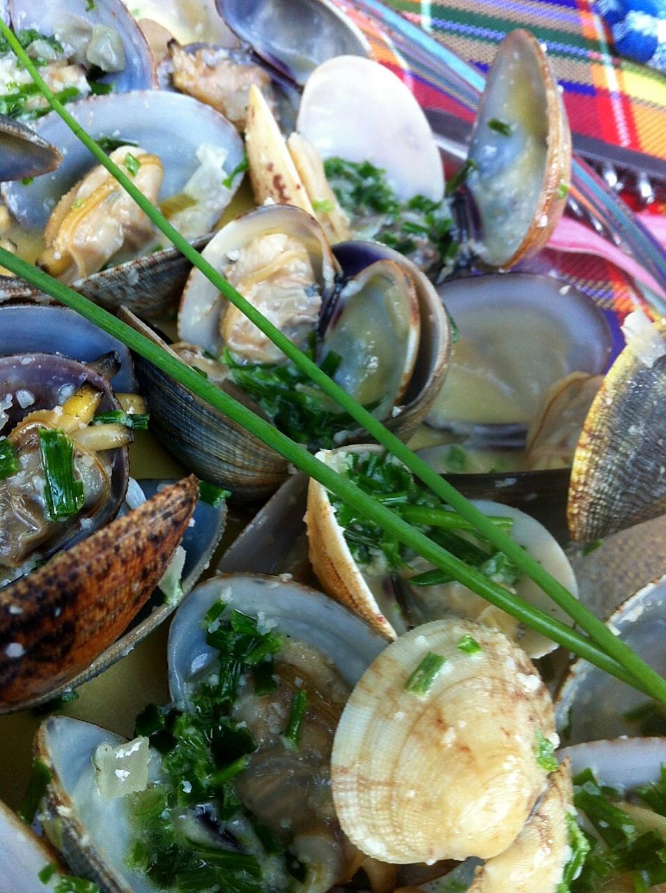 recette Palourdes à la ciboulette