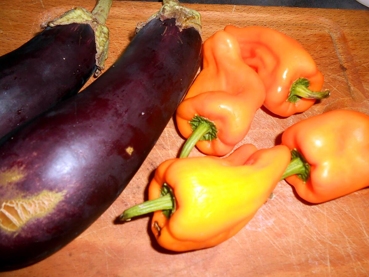 recette INSALATA DI MELANZANE E PEPERONI (Salade d'aubergines et poivrons grillés)