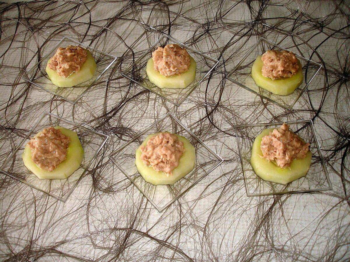 recette Petites bouchées de concombre au thon-mayonnaise
