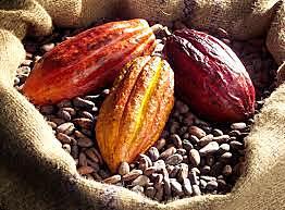 recette Rocher à la  noix de coco et cacao