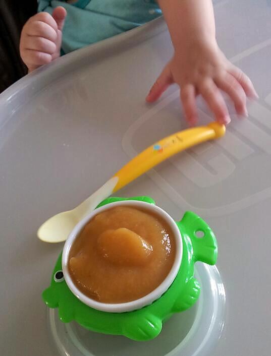 recette Compote au fruits du verger *Pour Bébé*