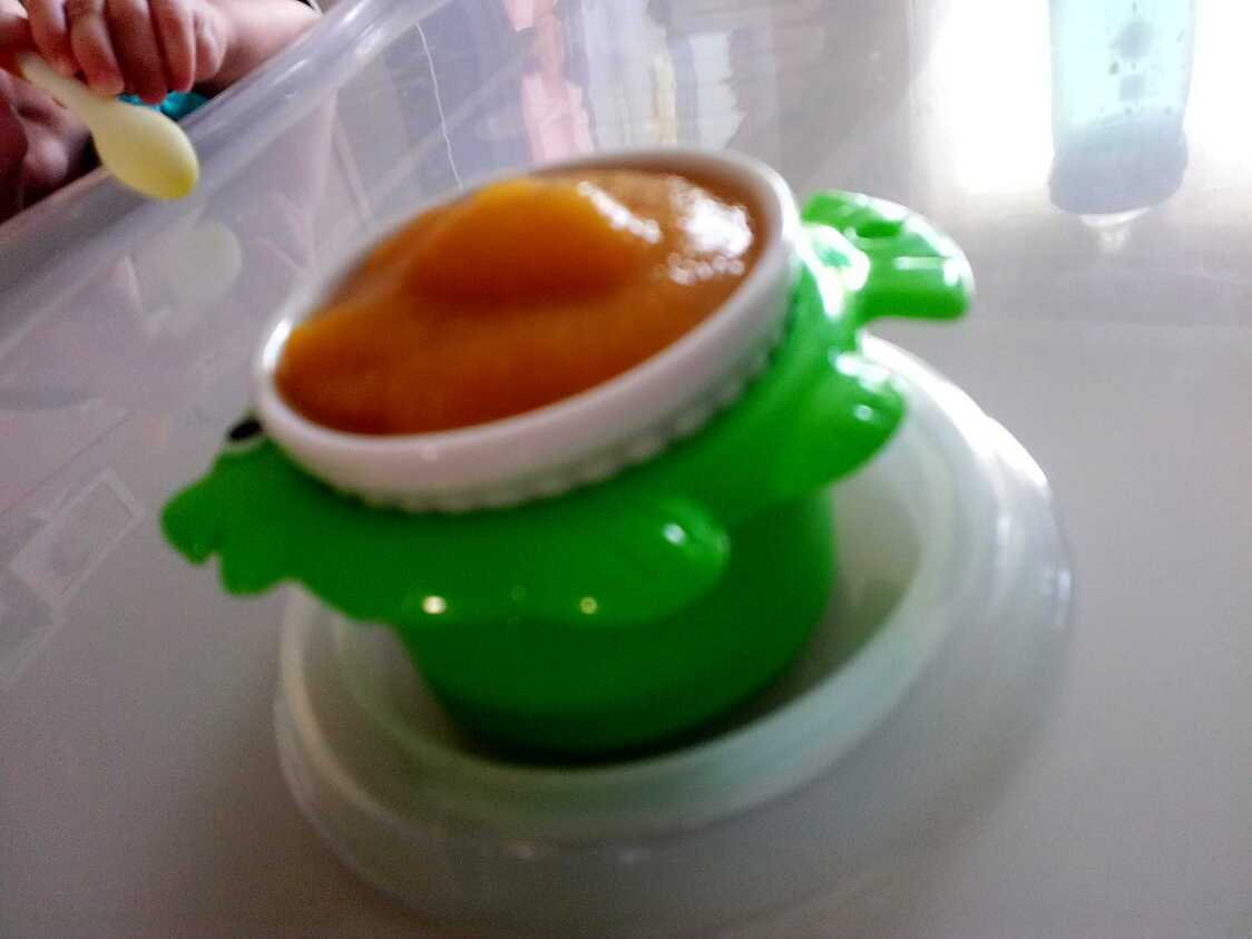 Recette de Compote au fruits du verger *Pour Bébé*