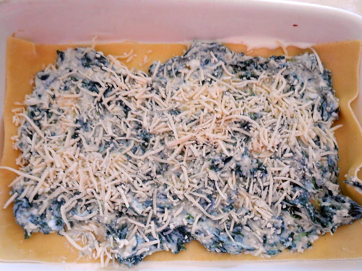 recette LASAGNE VERTE A LA BROUSSE