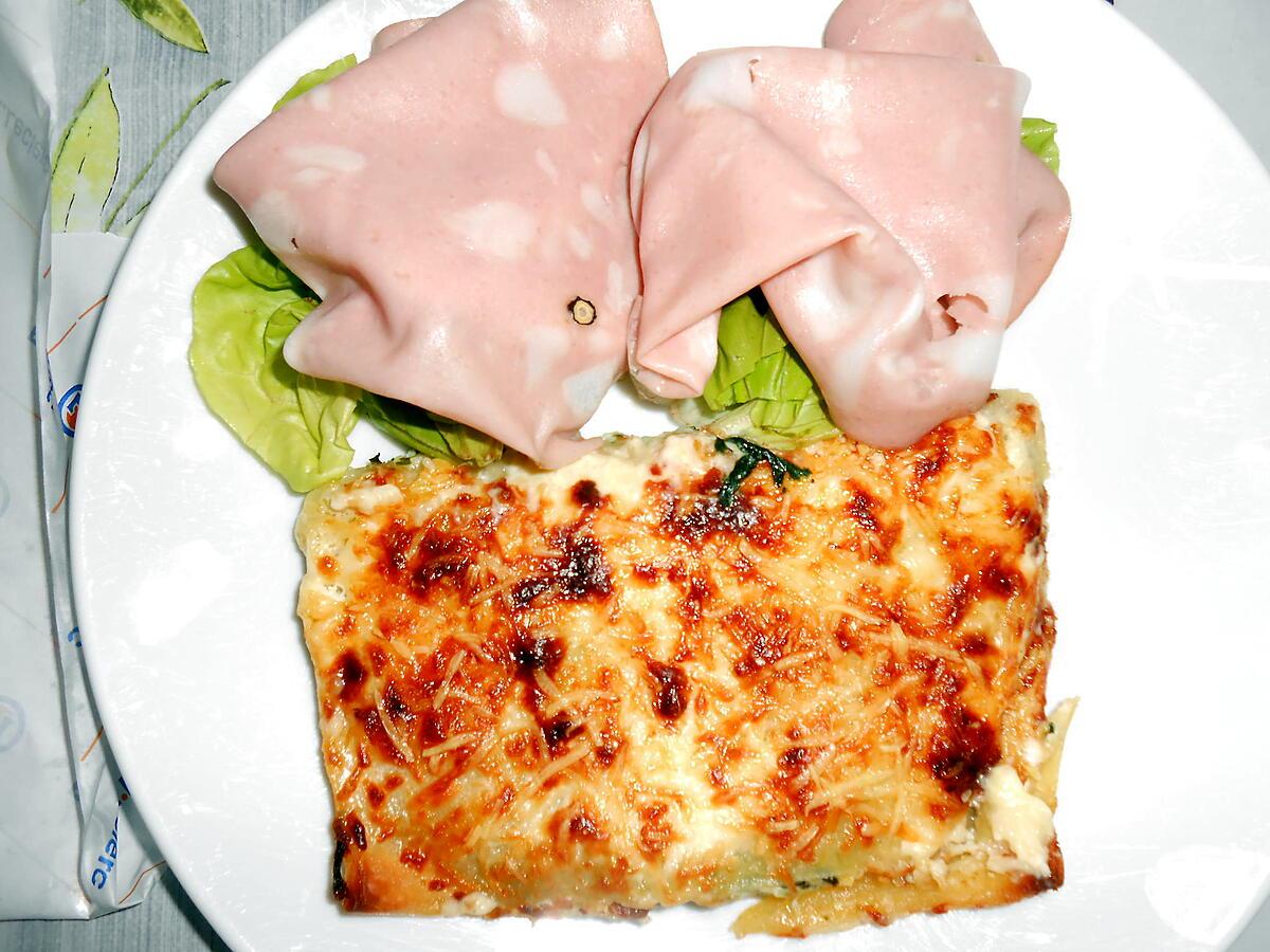 recette LASAGNE VERTE A LA BROUSSE