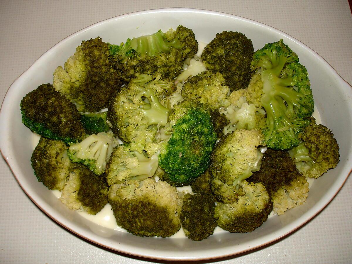 recette Gratin de brocoli