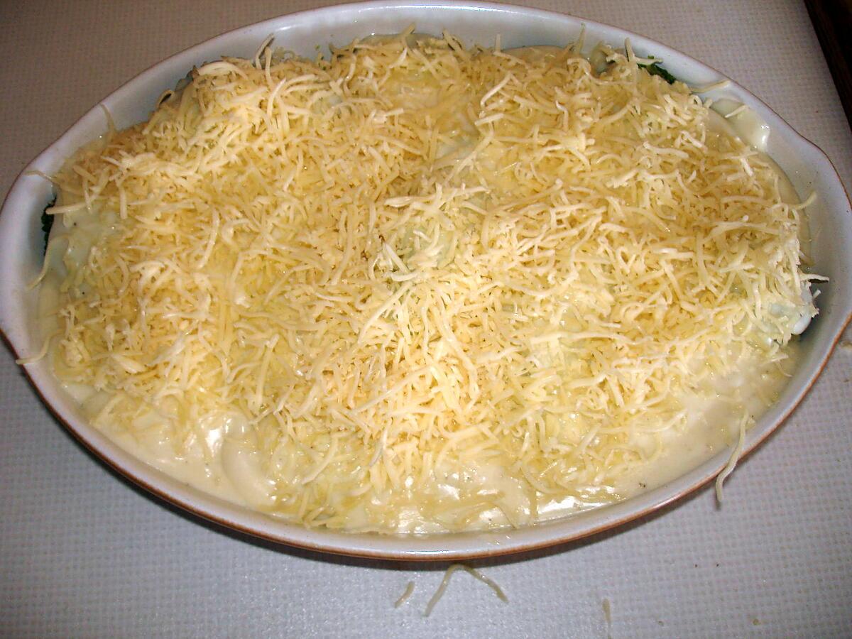 recette Gratin de brocoli